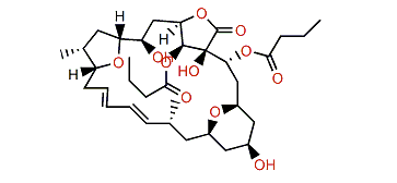 Mandelalide D